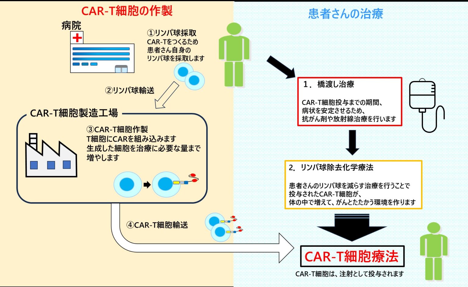 Car T カーティー 細胞療法とは 安城更生病院 Anjo Kosei Hospital